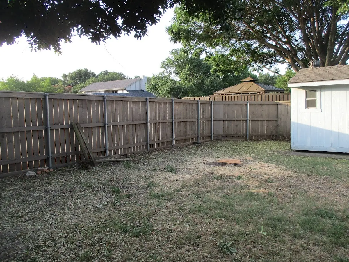 Cleared yard after professional tree removal in Mineral Wells